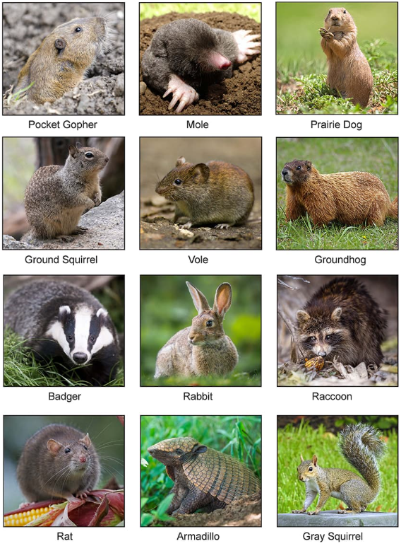 Gopher and Small Animal Example, Fertilizer