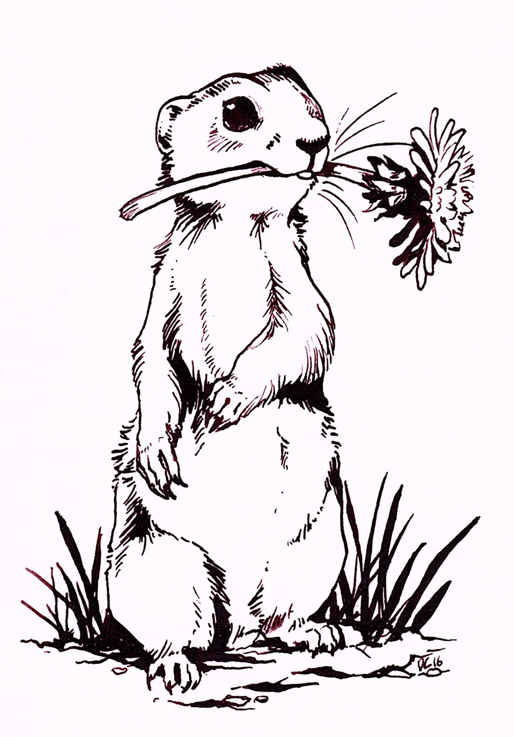 Gopher Starter